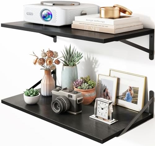 Fixwal 2pcs 10 in Deep Floating Shelves by Fixwal