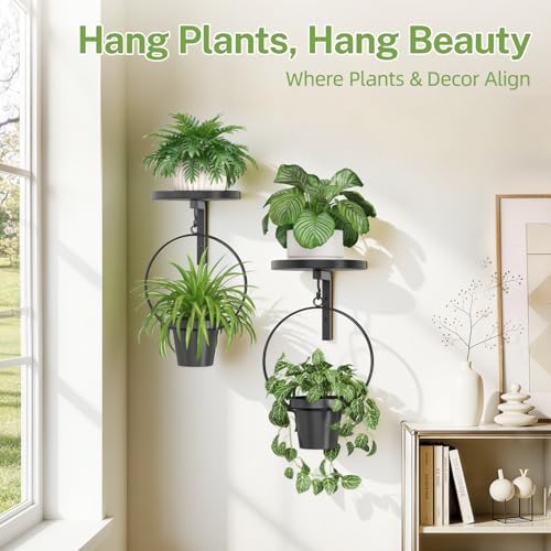 iDavosic.ly Plant Wall Hanger Set of 2 - Image 6