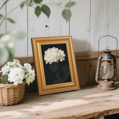 EJPFOGV White Hydrangea Framed Canvas wall art Black Background 8x10 inch - Image 2