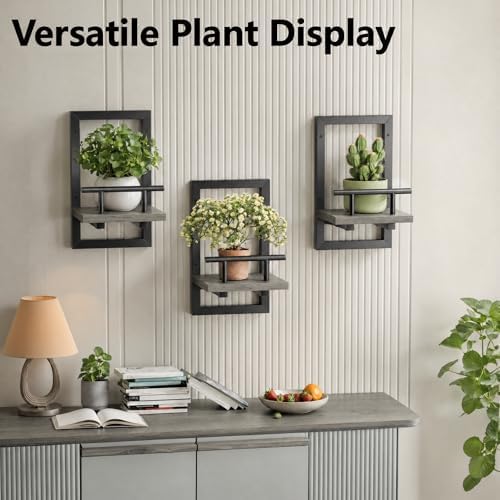 Sbosbo Floating Shelves for Wall Plant Shelf Indoor Wall Mounted Shelves - Image 5