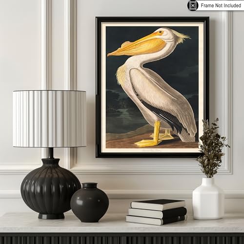 Poster Master Vintage James Audubon Poster - Image 3