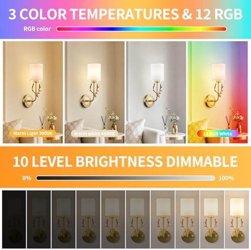 Cordless Wall Sconces Set of 2, 10000mAh Rechargeable RGB LED Lamps, Retro - Image 2