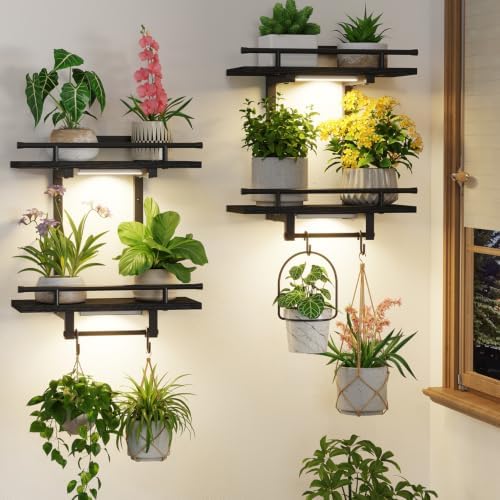 LASZOLA Floating Plant Shelves Holder Wall Indoor by LASZOLA