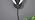 Modern LED Wall Lamps for Bedrooms Set of 2 Black Plug in Wall Light Fixtures - Image 7
