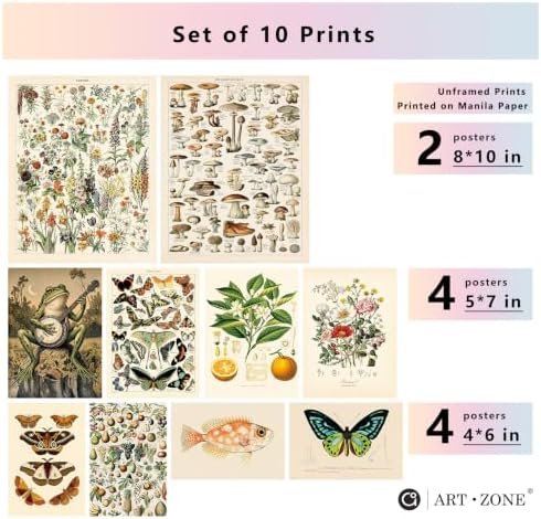 A ART·ZONE Vintage Botanical 10Pcs Mixed Natural Prints Unframed Poster - Image 2