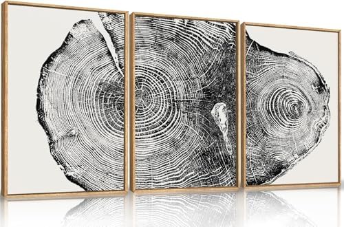 Aryroi Large Vintage Tree Ring Framed Canvas Wall Art Set- 24"x36"x3 - Image 5