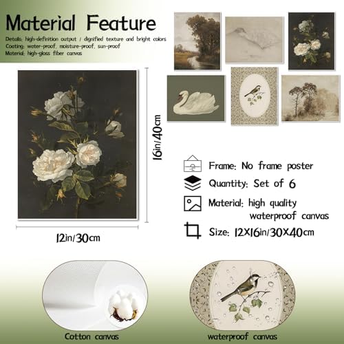 Mynotix Vintage Art Prints Posters Retro Botanical and Animal Wall Art Set of 6 - Image 4