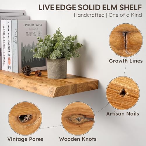 40" Floating Shelves, Solid Elm Wood, Natural Live Edge - Image 4