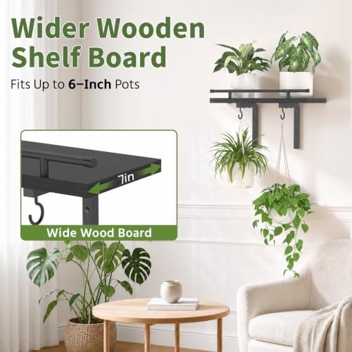 LASZOLA Wall Plant Shelves Floating Hanger Holder Indoor - Image 4