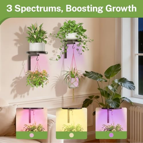 iDavosic.ly Plant Wall Hanger - Image 5