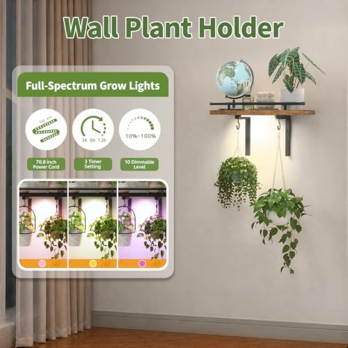 LASZOLA Wall Plant Shelves Floating Hanger Holder - Image 5