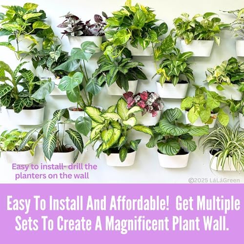 LaLaGreen Hanging Wall Planter White Metal Plant Shelf - Image 3