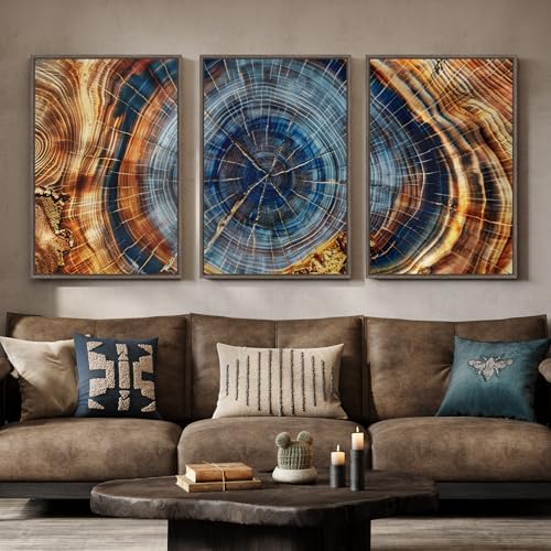3 Piece Large Framed Colorful Tree Ring Wall Art by MXART