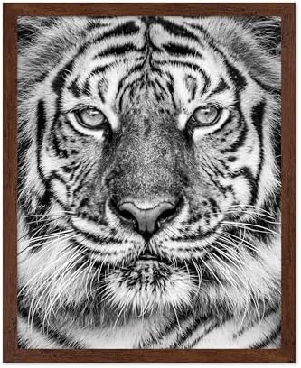 Poster Master Vintage Tiger Face Print by PosterMaster