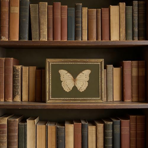 Vintage Gold Framed Wall Art Classical White Butterfly Wall Art Small Moody - Image 4
