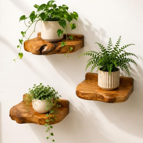 Small Floating Shelf for Wall Set of 3 Natural Cedar Wood 6 Inch Mini Wall by Unknown