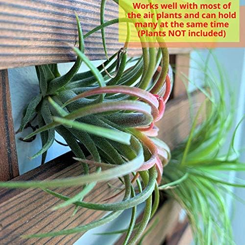 ShopLaLa Wooden Wall Planter Wood Hanging Planters - Image 4