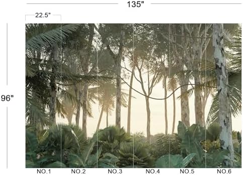 Sunlit Tropical Forest Tall Trees Scenery Landscape Wallpaper - Image 5