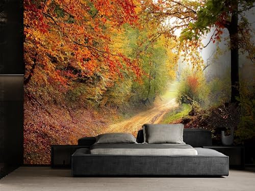 Trail Forest Leisure Timewall murals Woodland Tree Peel and Stick self Adhesive - Image 4
