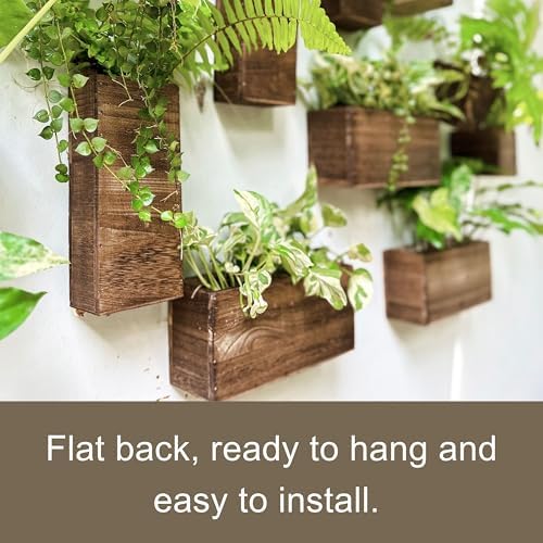 LaLaGreen Wood Planter Box for Plants Wall Planters for Indoor - Image 6