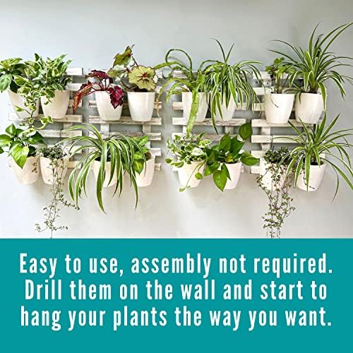ShopLaLa Wooden Wall Planters - Image 4