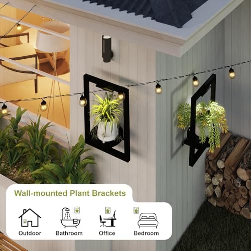 BAOYOUNI 2 Pack Wall Plant Shelf - Image 4