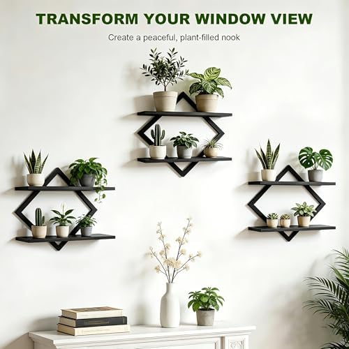 Set of 3 Wall Plant Holder - Image 3