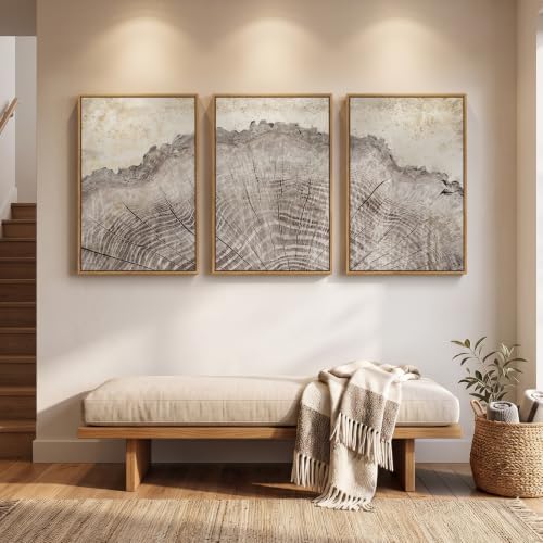 Large Framed Modern Farmhouse Tree Ring Wall Art - Image 3