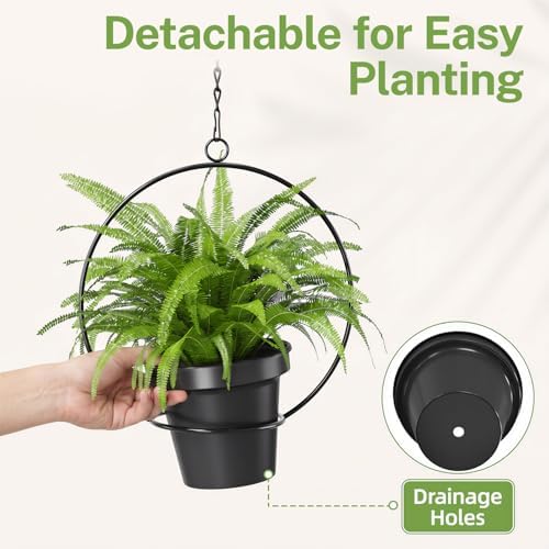 iDavosic.ly Plant Wall Hanger Set of 2 - Image 4