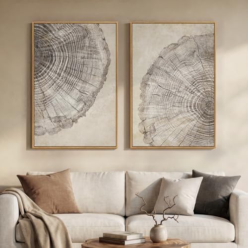 Framed Neutral Wabi Sabi Tree Rings Wall Art by MXART