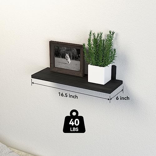 DOLLFIO Floating Wall Shelves, Decor & Storage - Image 3