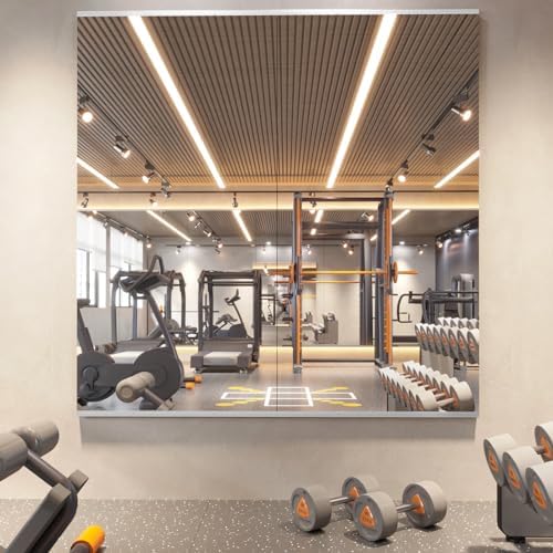 pertetey 56 x 24 in Home Gym Mirrors by PERTETEY