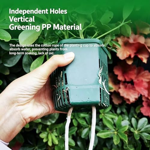 Vertical Wall Planter for Indoor Plants, Living Wall Planter System - Image 6