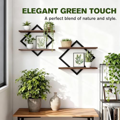 2 Pack Floating Wall Shelves Plant Holders - Image 5