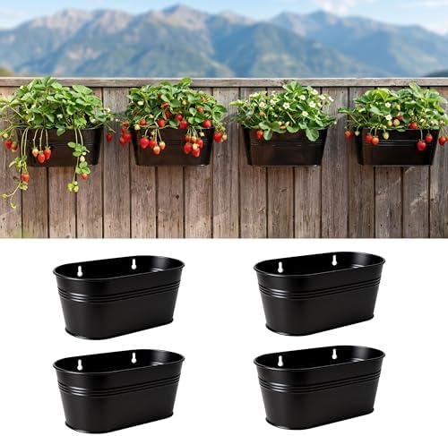 LaLaGreen Large Wall Planter Black Metal Wall Decor Pots by L%C3%A1L%C3%A1Green