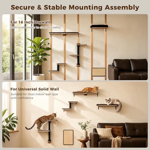 PAWZ Road Cat Wall Shelves, Modern Cat Wall Furniture - Image 5