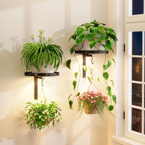 iDavosic.ly Plant Wall Hanger by iDavosicly