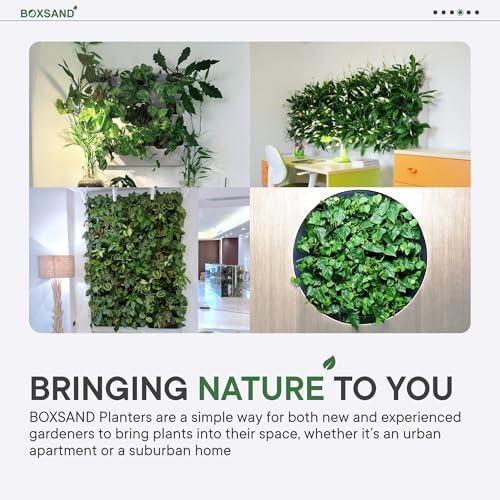 BOXSAND-12 Vertical Wall Planter – Living Wall - Image 5