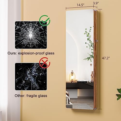 HNEBC Over the Door Jewelry Organizer - Image 2