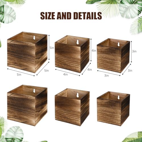 Ziliny 6 Pack Wooden Wall Planters Rustic Hanging Wall Planters, 3 Sizes - Image 2