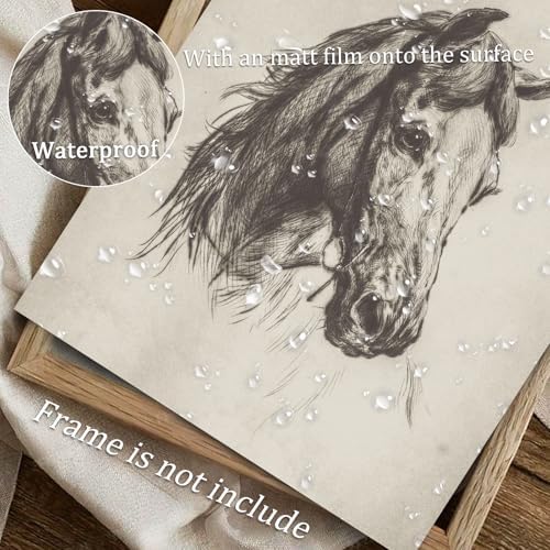 uniro Vintage Horse Etching Sketch Equestrian Retro Wall Art Print Farmhouse - Image 4