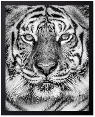 Poster Master Vintage Tiger Face Print by PosterMaster