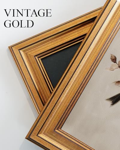 VIYYIEA Vintage Gold Framed Wall Art, Two Little Birds, 12x16 inch - Image 6