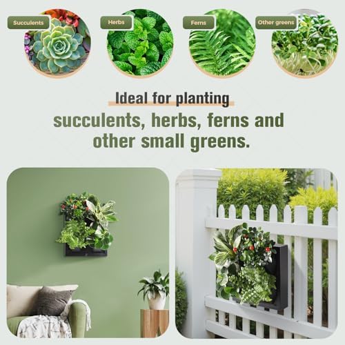Wall Mounted Planter, Vertical Garden - Image 3