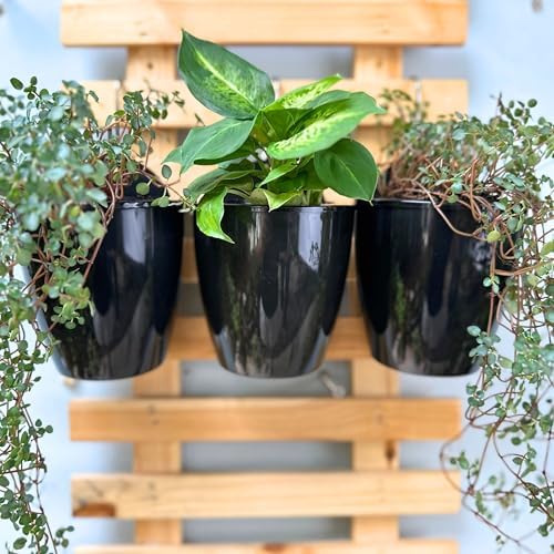 LaLaGreen Wall Planters for Indoor Plants Small Planter - Image 6