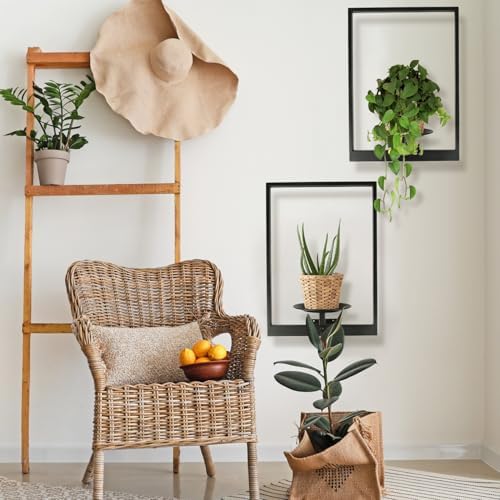 Plant Wall Shelf, Metal Modern Style Frame, Picture Wall Plant Holder, Plant - Image 6