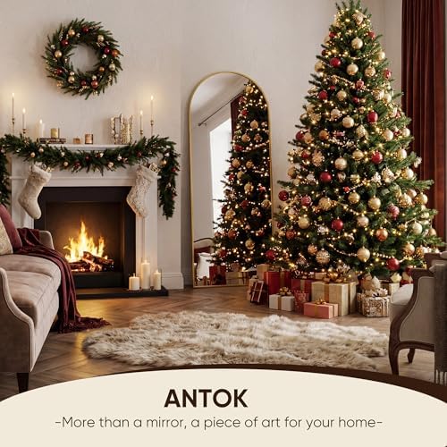 Antok 58" x19” Arched Full Length Mirror, Floor Mirror - Image 2