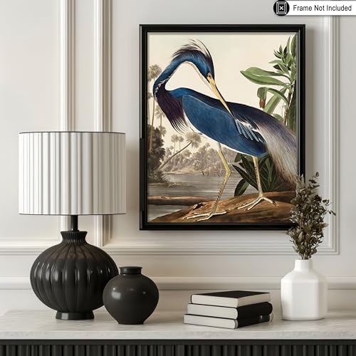 Poster Master Vintage James Audubon Poster - Image 3