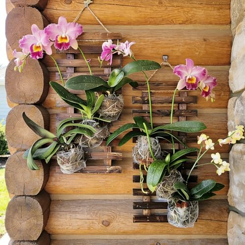 Mulctun 2 Pcs Wall Planters - Image 4