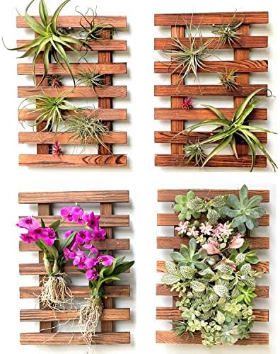 ShopLaLa Wall Planters Wooden Hanging Planter by ShopLaLa